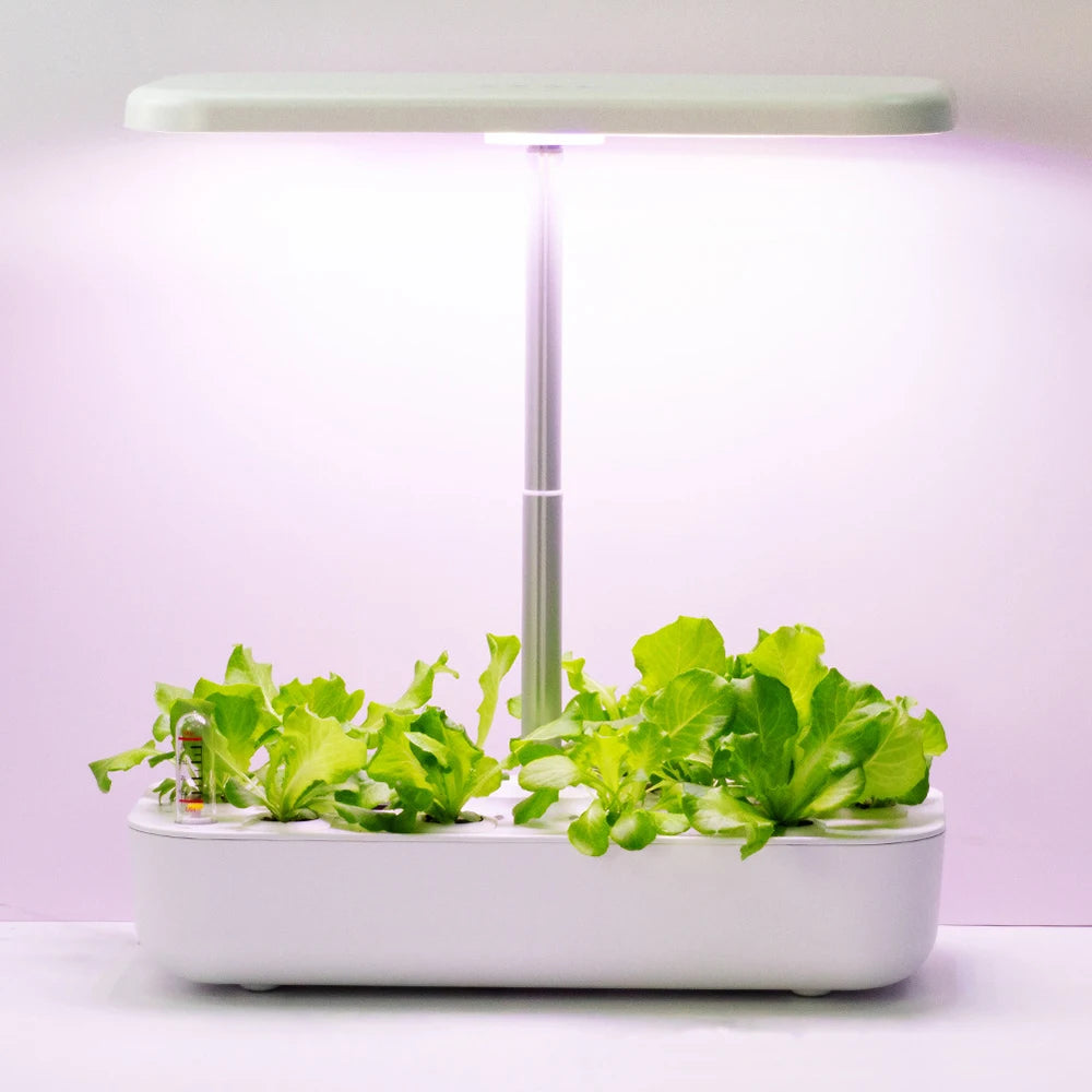 Hydroponic Growing Systems for Home