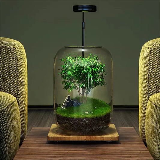 Creative Glass Vase