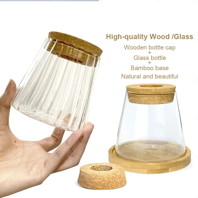 Nordic Transparent Glass Vases