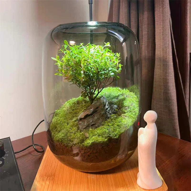 Creative Glass Vase