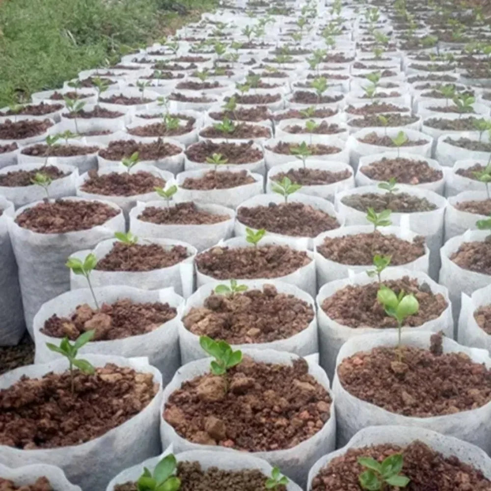 Biodegradable Nursery Bag