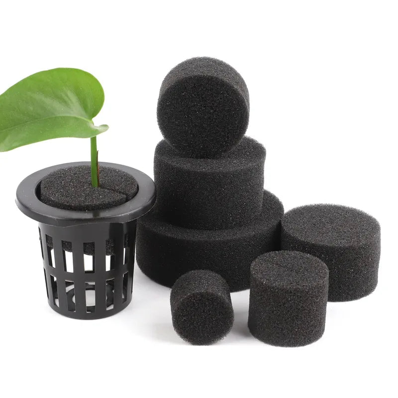 Hydroponic Sponges