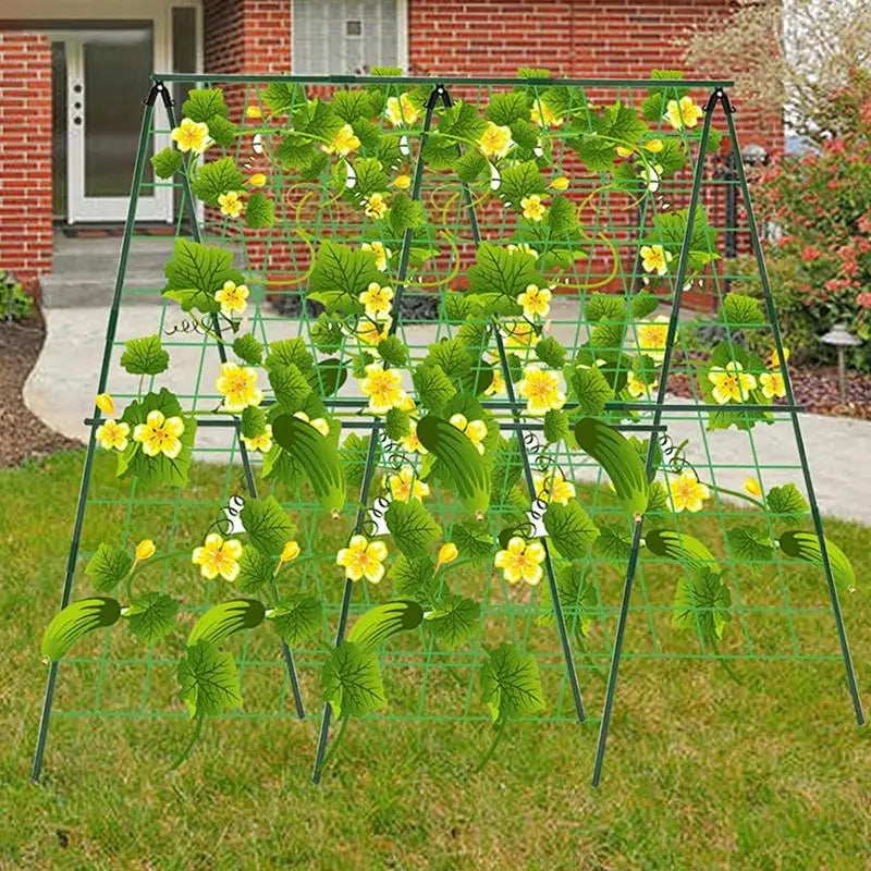 Cucumber Trellis Set