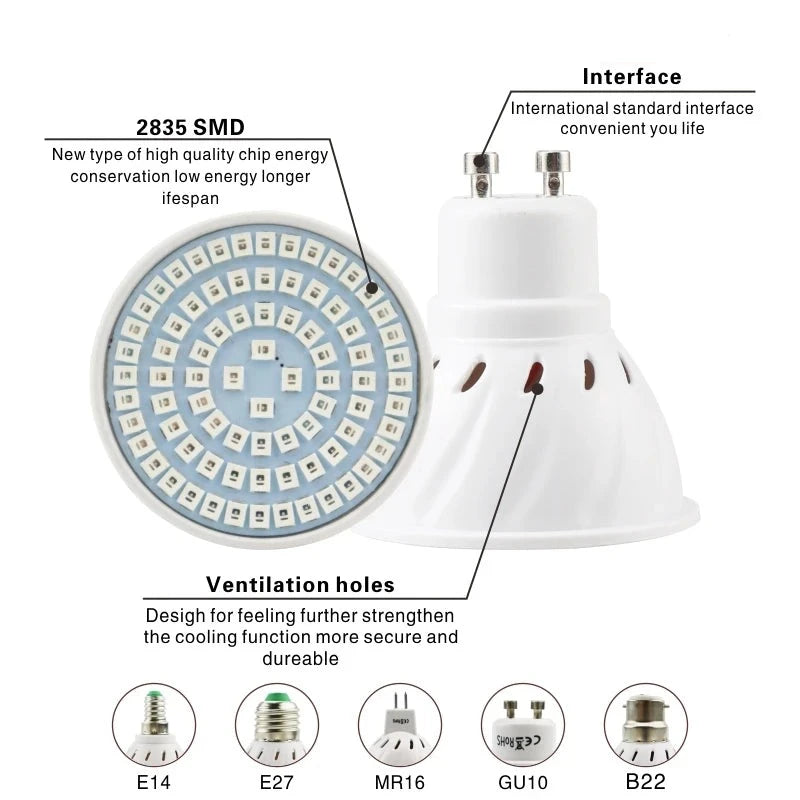 Hydroponic Growth Light Bulbs