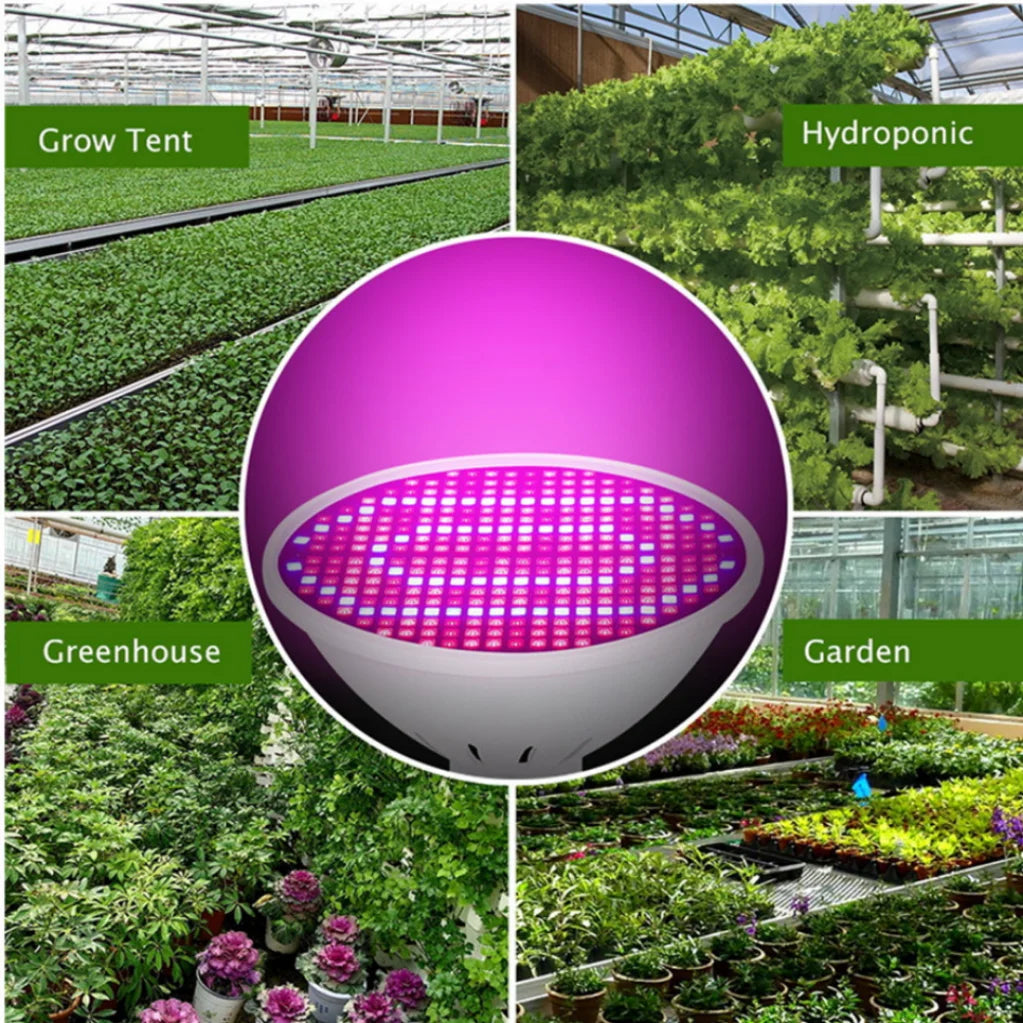 LED Grow Light Bulb