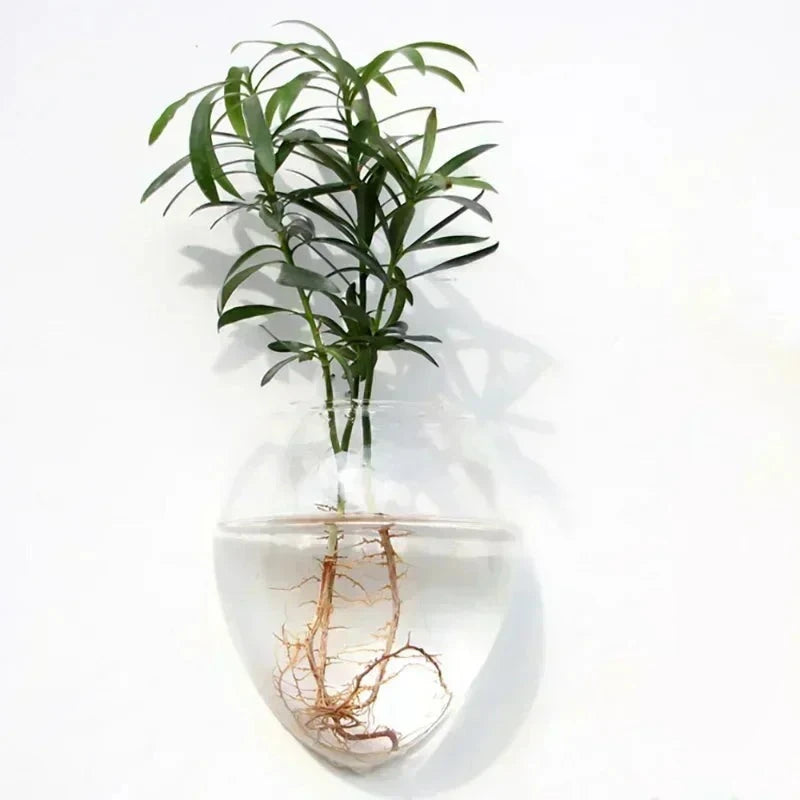 Wall Hanging Glass Vase