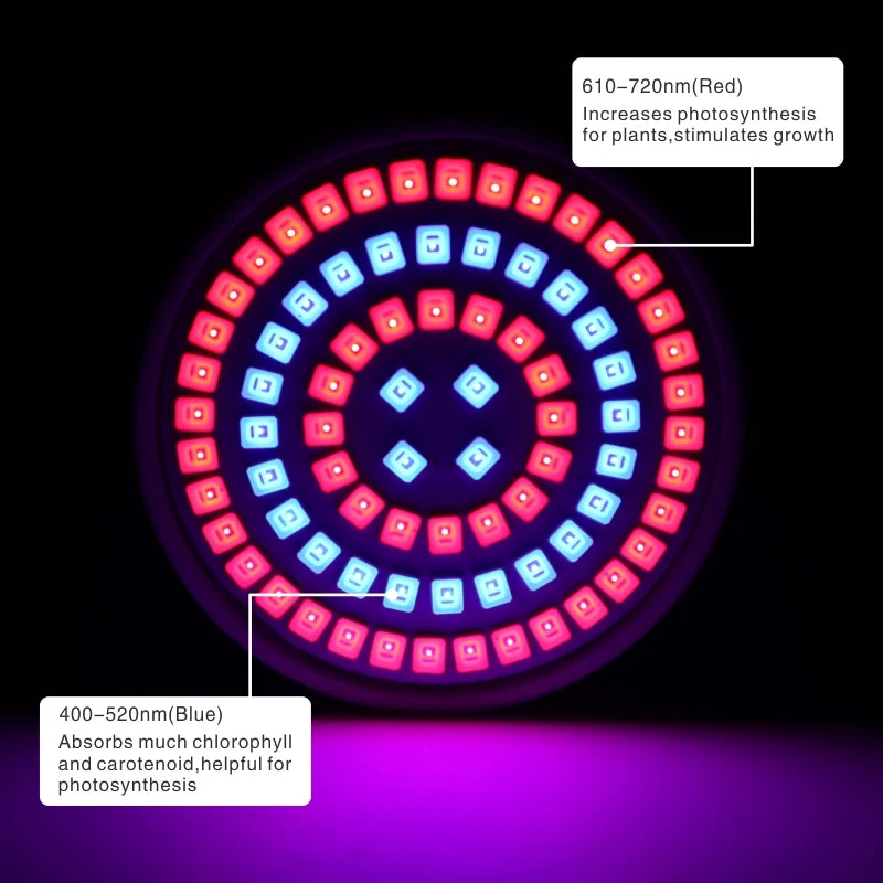 Hydroponic Growth Light Bulbs