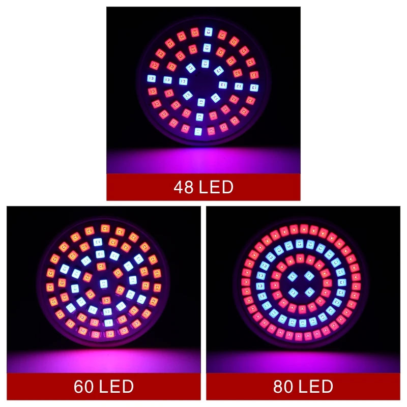 Hydroponic Growth Light Bulbs