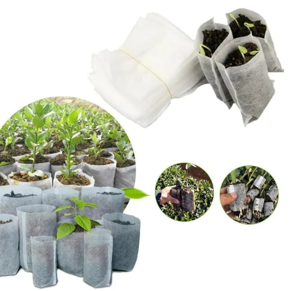 Biodegradable Nursery Bag