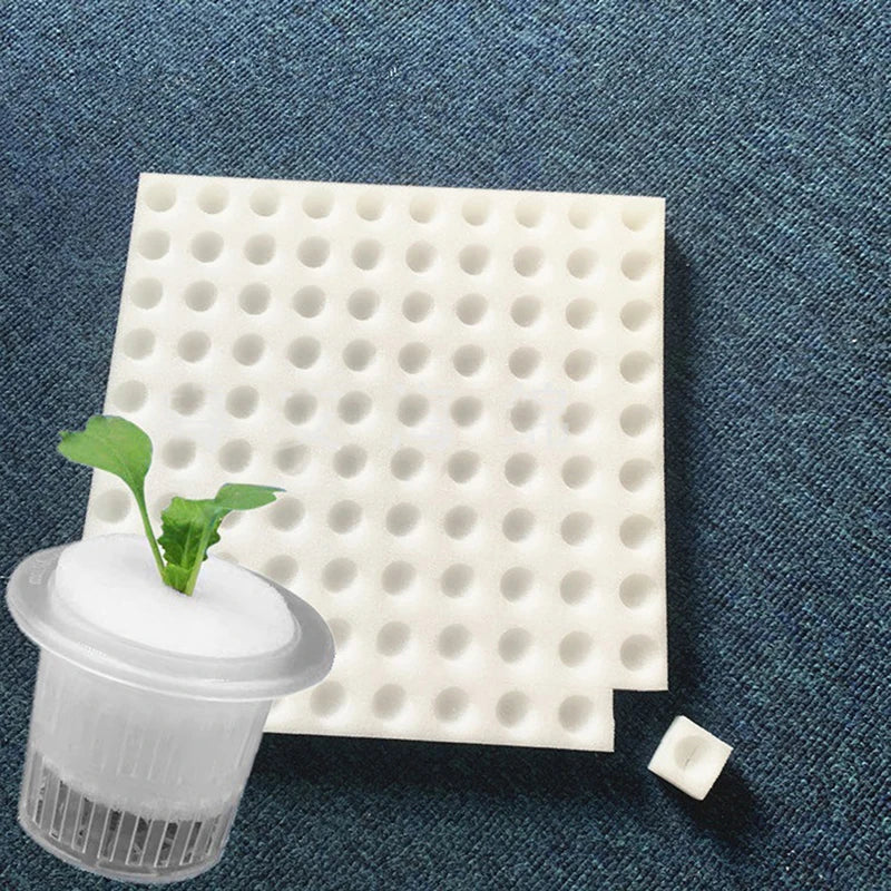 Soilless Hydroponic sponge