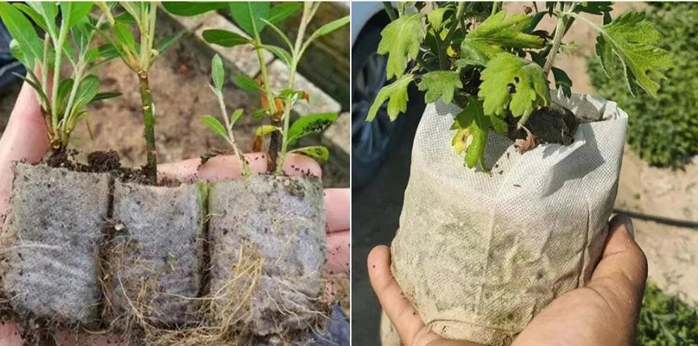 Nursery Growing Bags