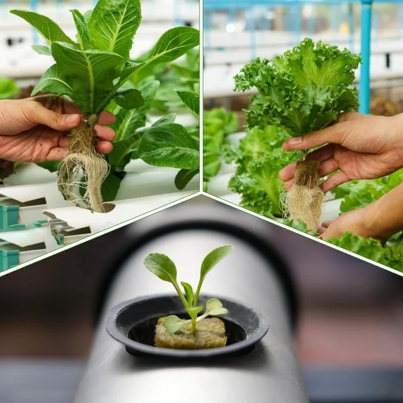 Hydroponic Grow Cubes