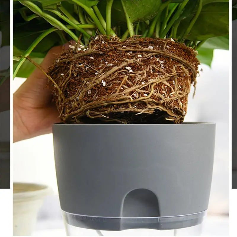 Automatic Watering Hydroponic Plant Pot