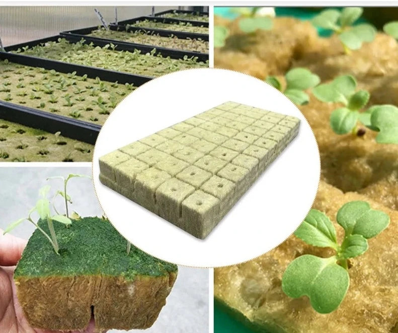 Hydroponic Grow Cubes