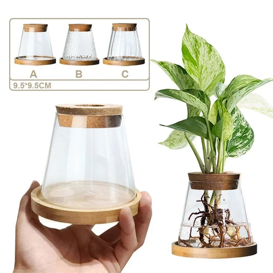 Nordic Transparent Glass Vases