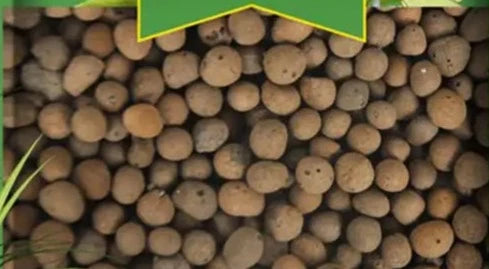 1L Organic Clay Pebbles