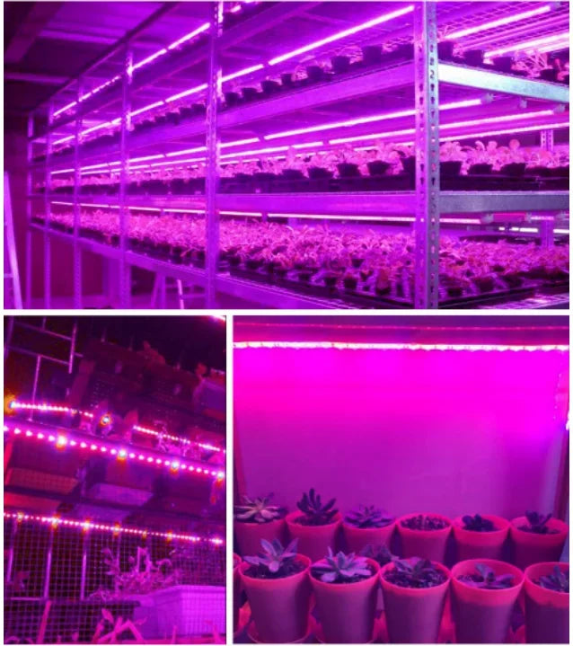 LED Grow Light Full Spectrum Strip