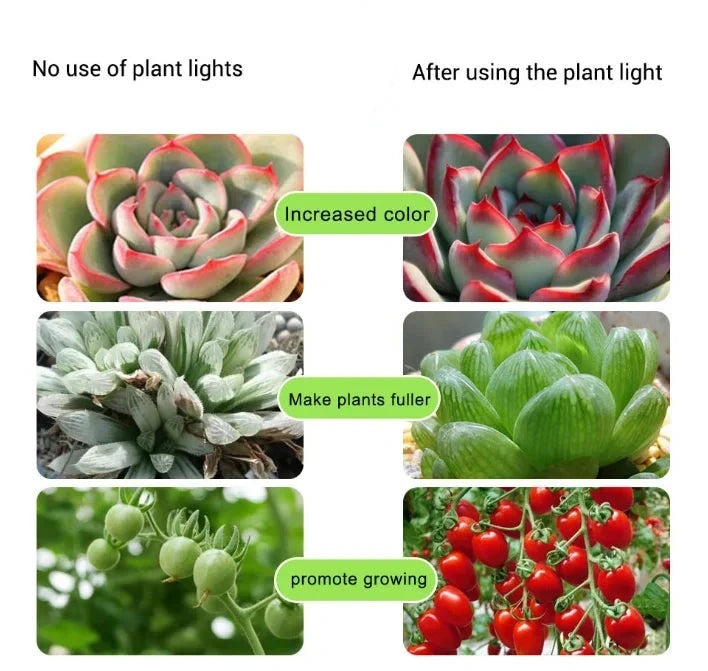 LED Grow Light Full Spectrum Strip