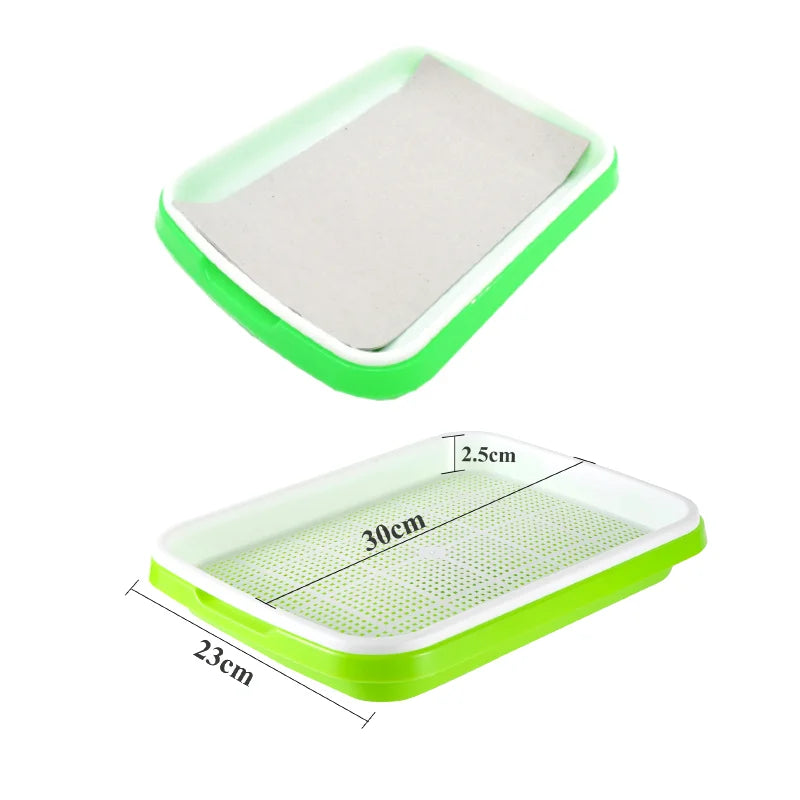 Germination Tray