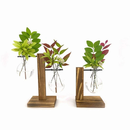 Hydroponic Plant Vases