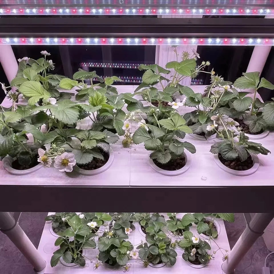 Indoor Hydroponic System Kit